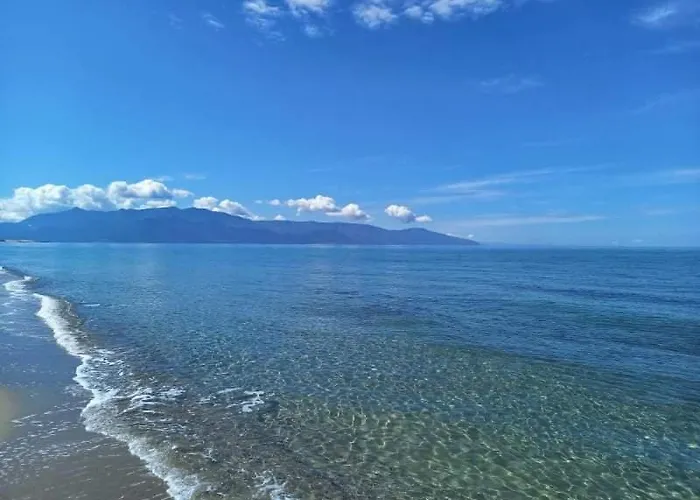 The Blue Pearl Prínos